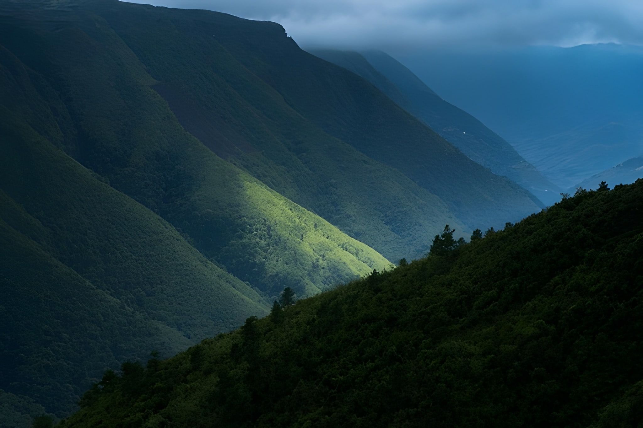 blog-images