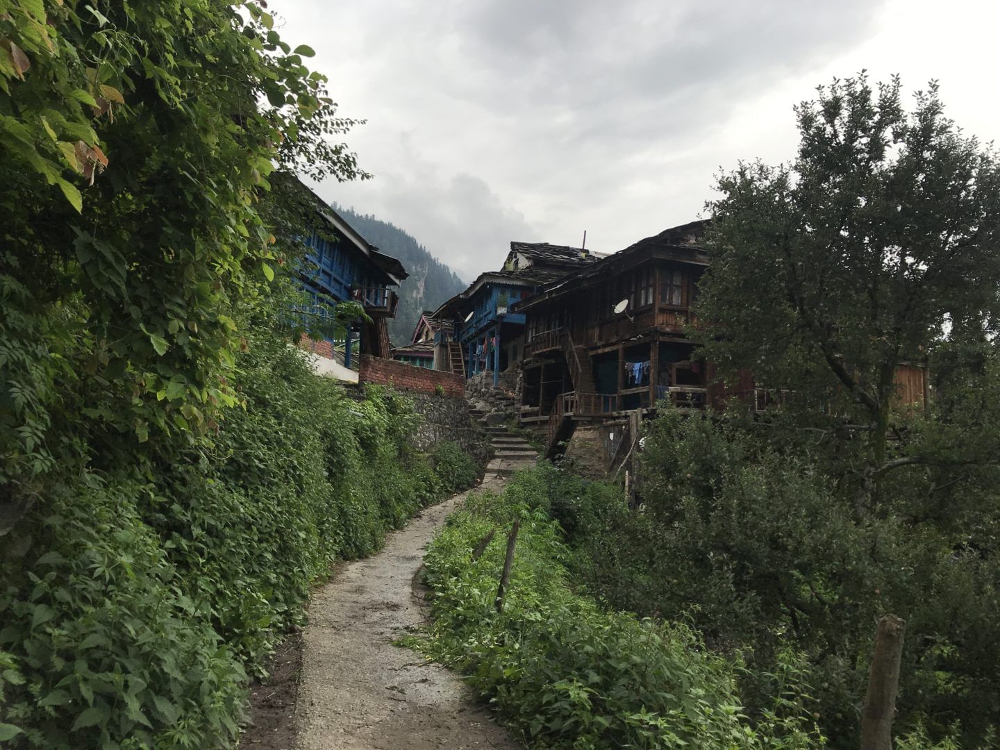 blog-images