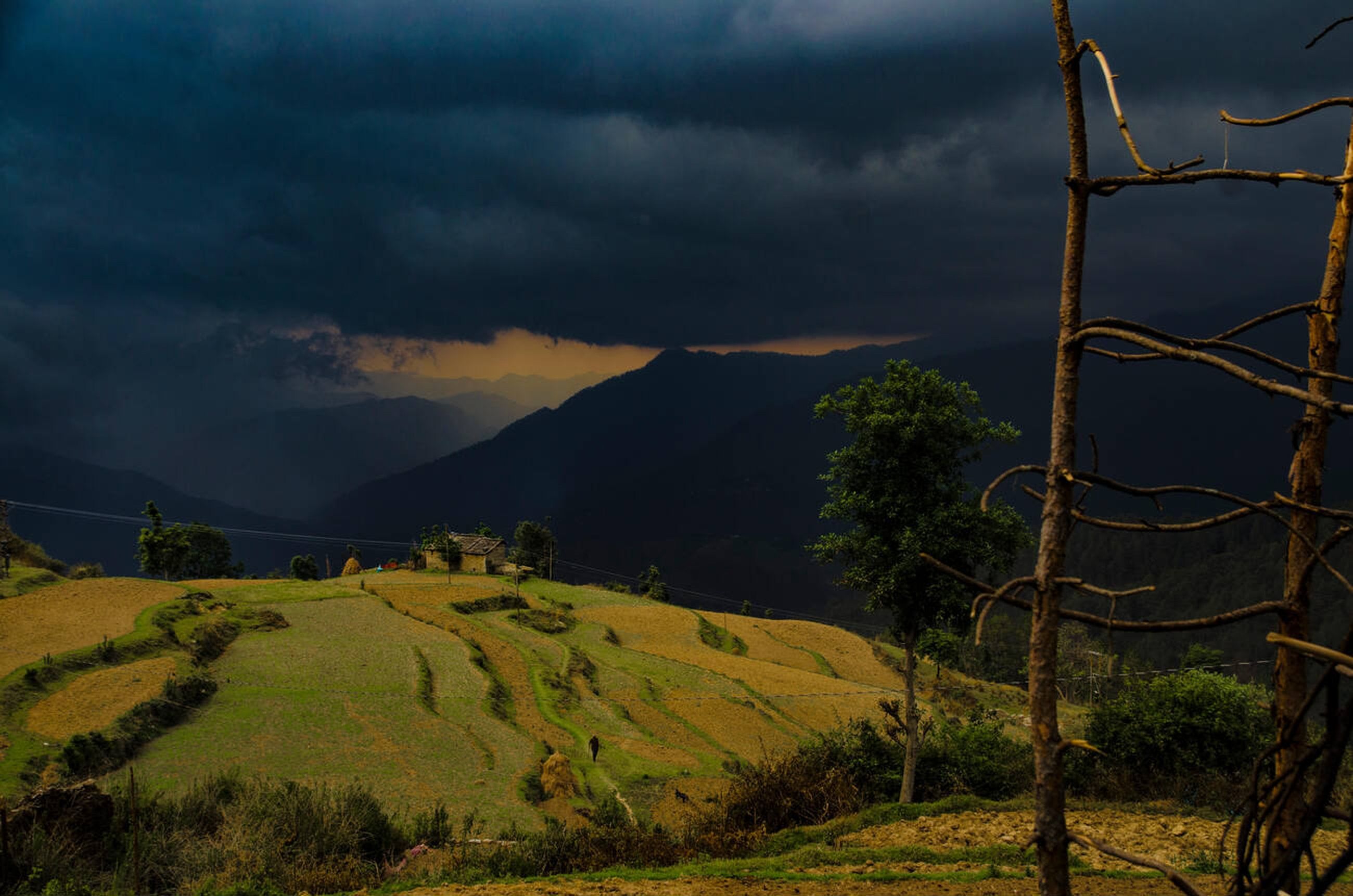 blog-images