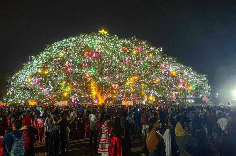 christmas-in-kochi