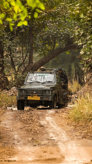 jaipur-couple-tour-package-forts-culture-adventure-3n-4d