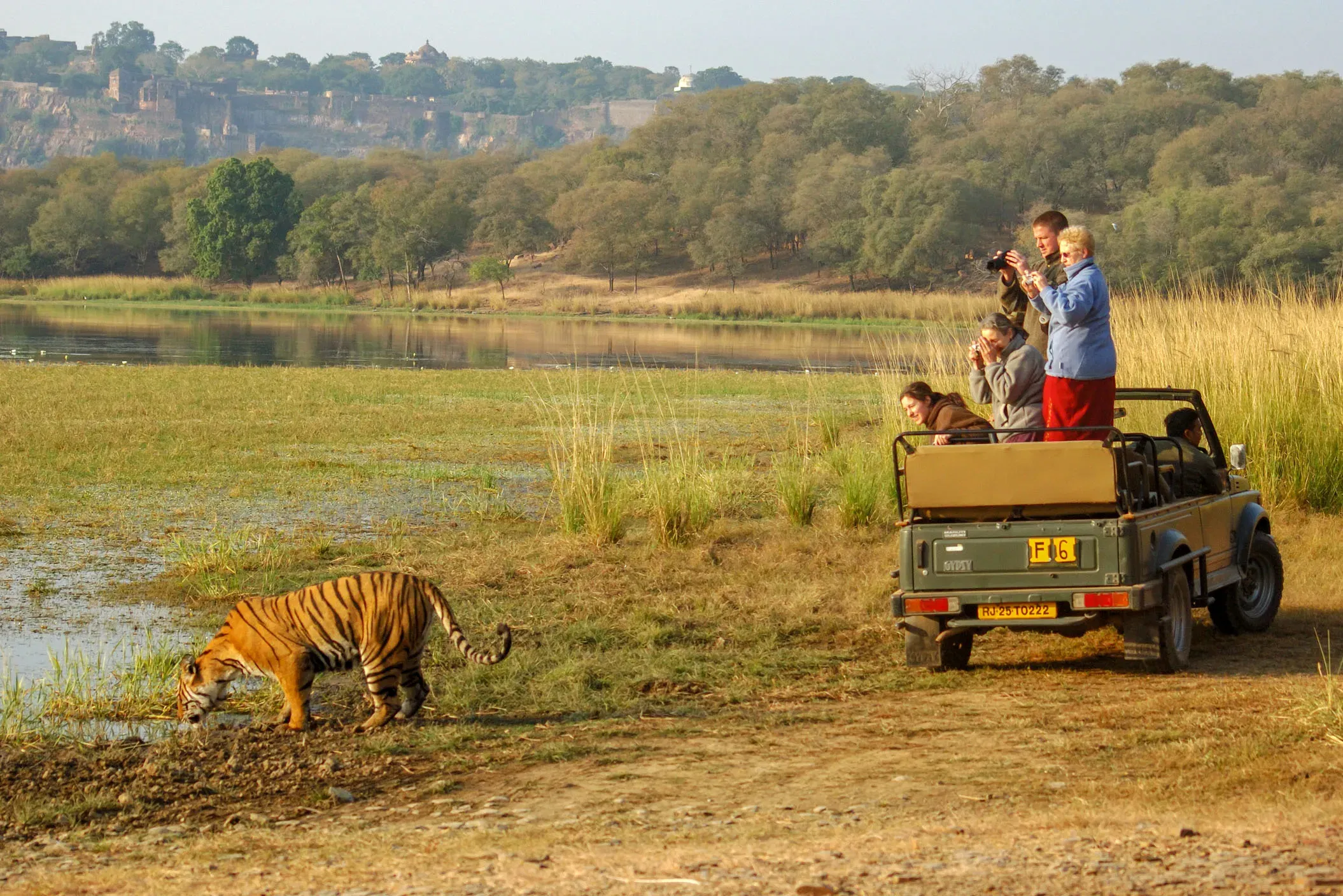 ranthambore-national-park-rajasthan
