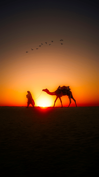 jodhpur-adventure-tour-with-desert-camp-3n-4d