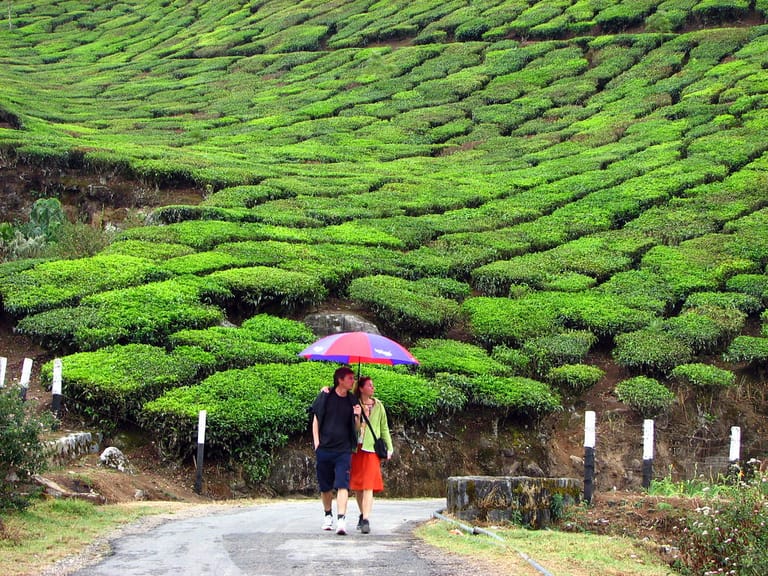things-to-do-in-munnar-on-honeymoon