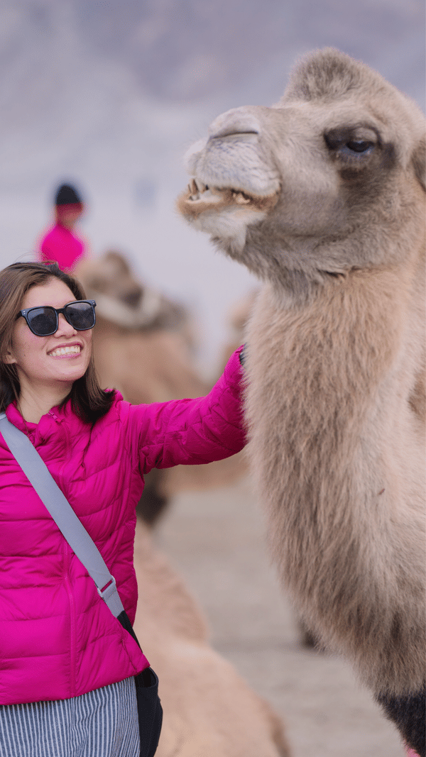 6 Days Leh Trip with Nubra and Pangong | Super Saver