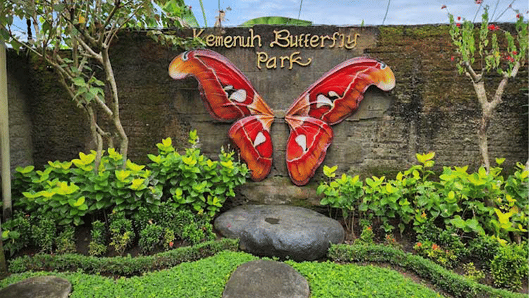 kemenuh-butterfly-park-bali