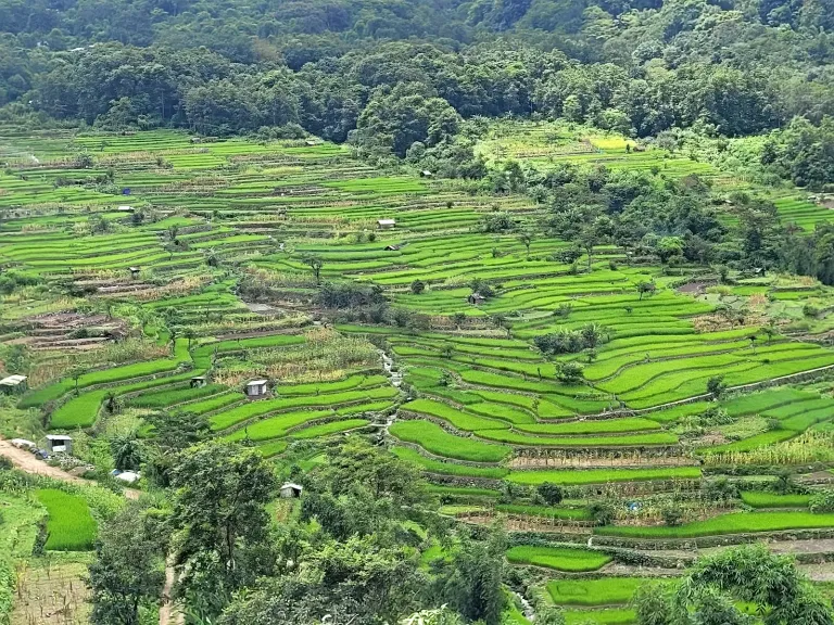 dzuleke-village-nagaland