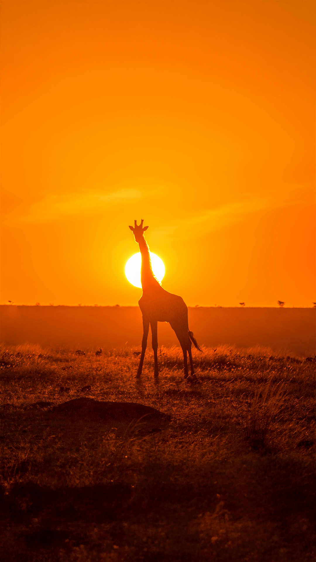 Kenya Elite Safari Expedition Through The Wild Heart Of Africa