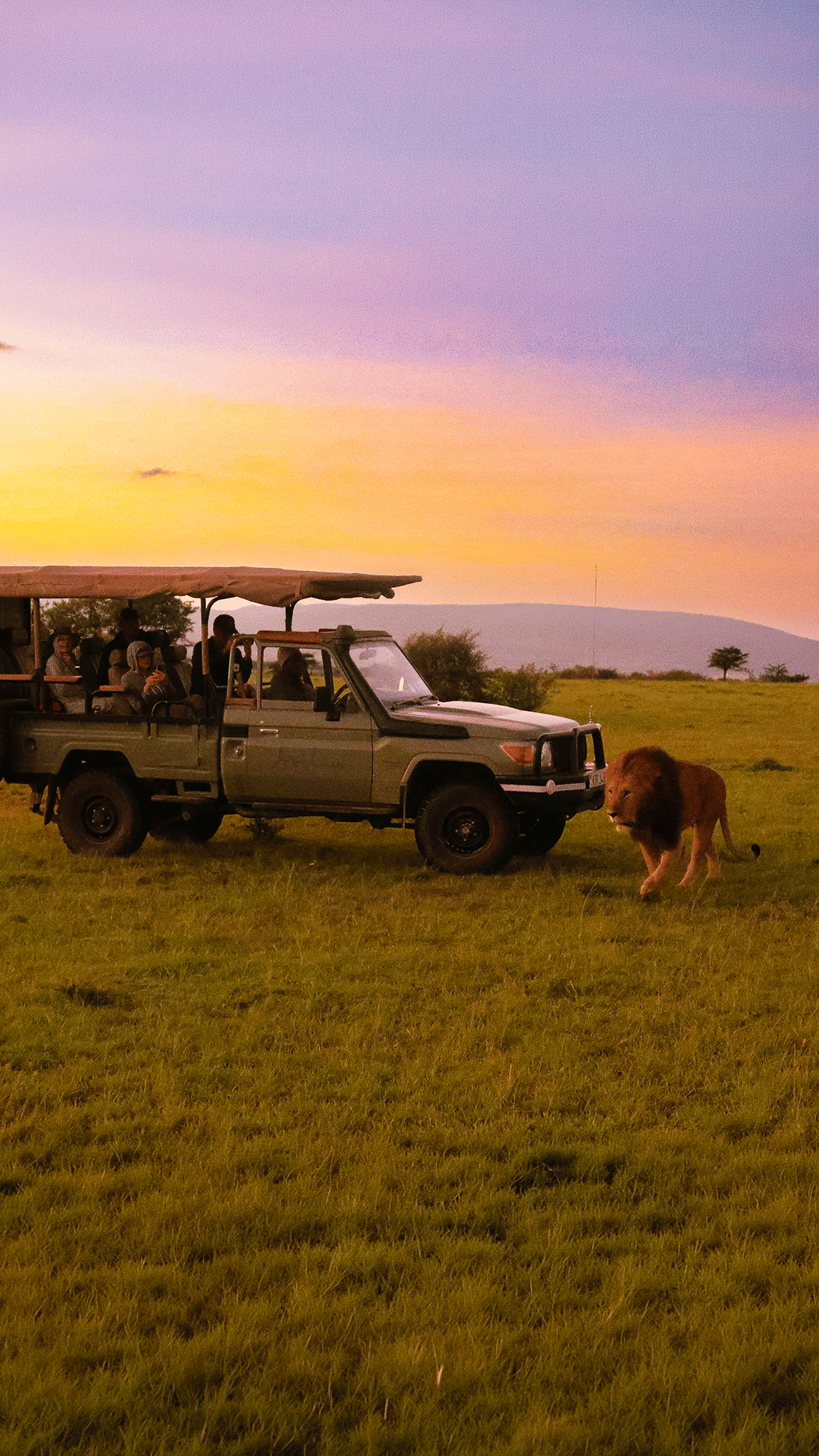 South Africa Signature Wildlife Safari Expedition