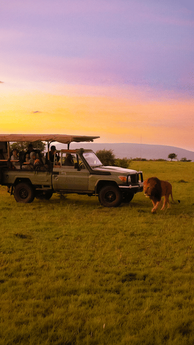 South Africa Signature Wildlife Safari Expedition