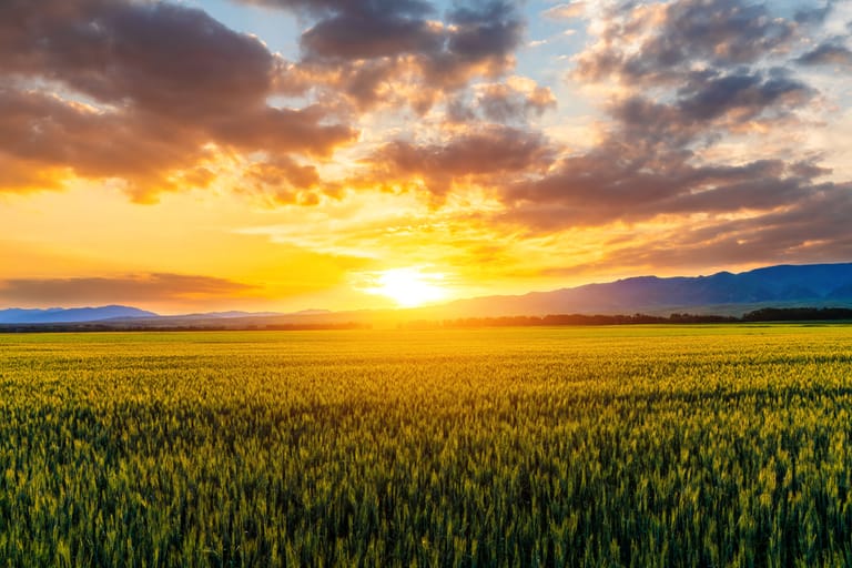 Best Sunrise Places in India for Stunning Views