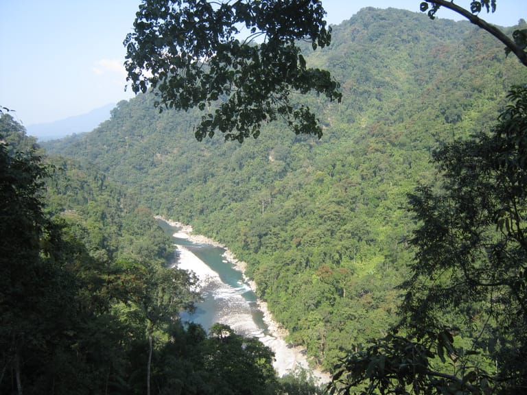 Blog image