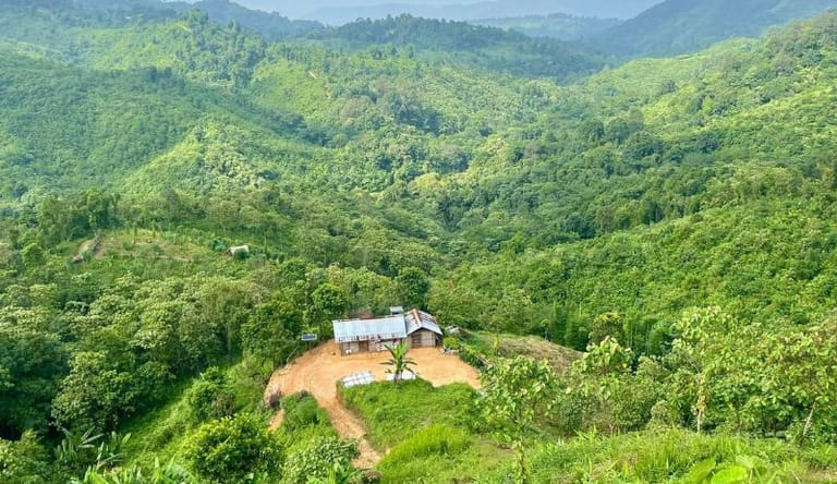 Blog image