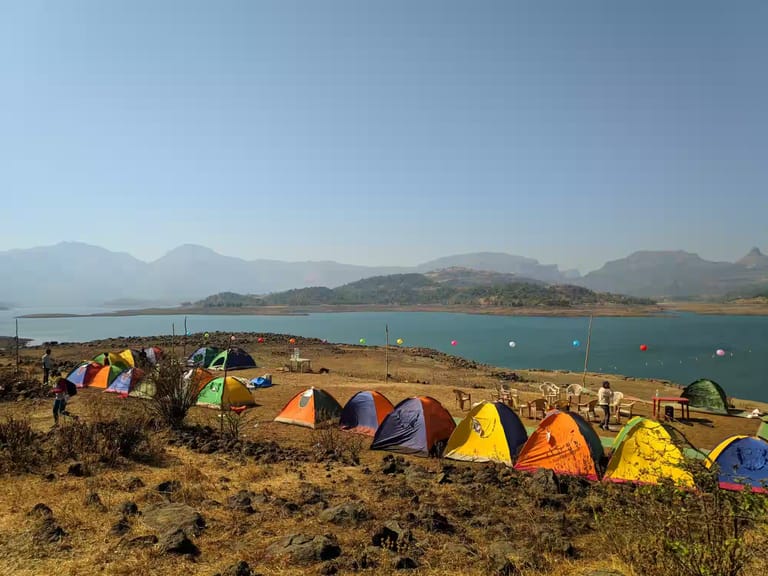 Blog image