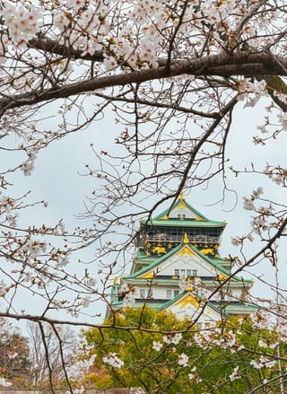 10 Days Japan Tour Package with Tokyo, Kyoto & Osaka