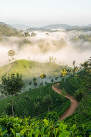 srilanka southern