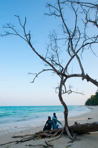 havelock-beach