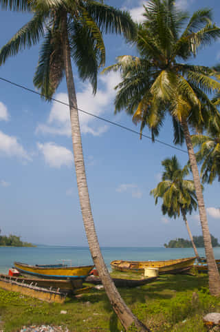 havelock-island