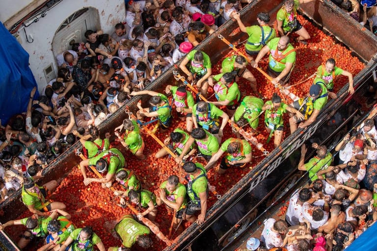 la tomatina with wanderon