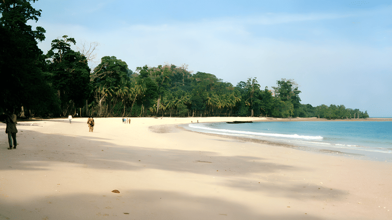 merk bay beach
