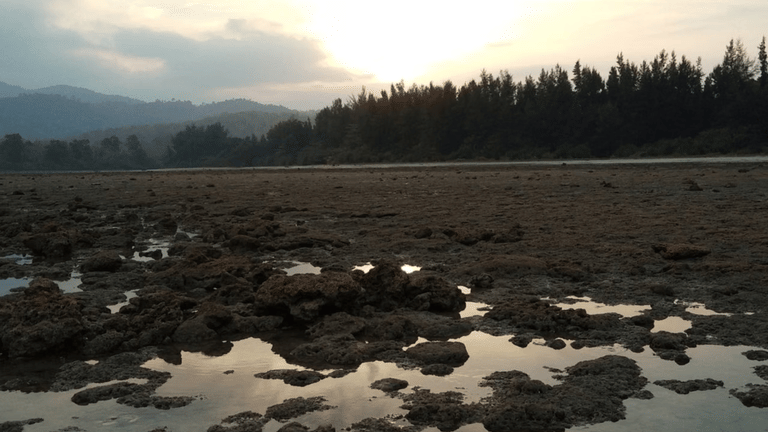 kalipur beach