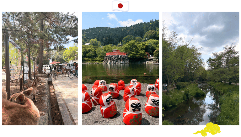 japan-group-trip-with-wanderon