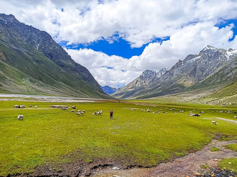 miyar-valley
