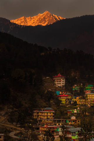 Mcleod Bir Tirthan Christmas and New Year Package