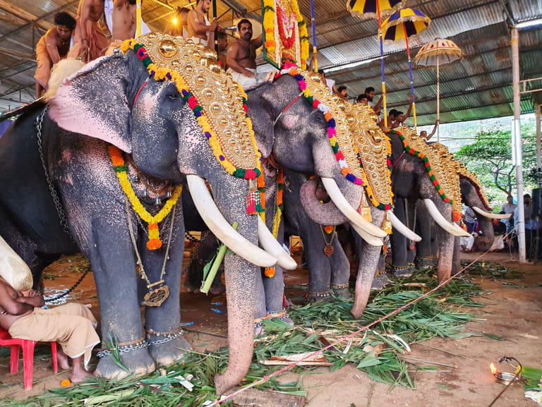 Thrikkakara 