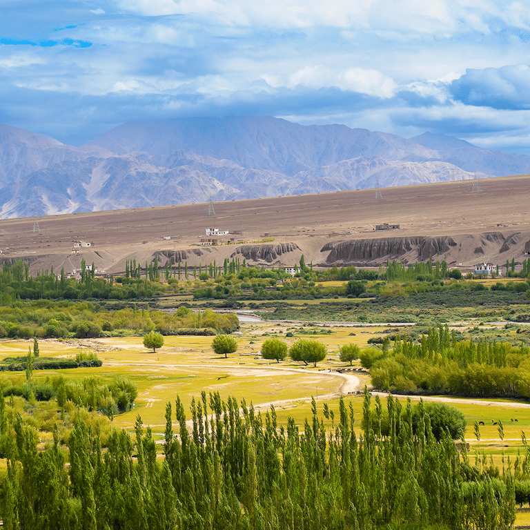 Day 7: Departure - Farewell to the Himalayas