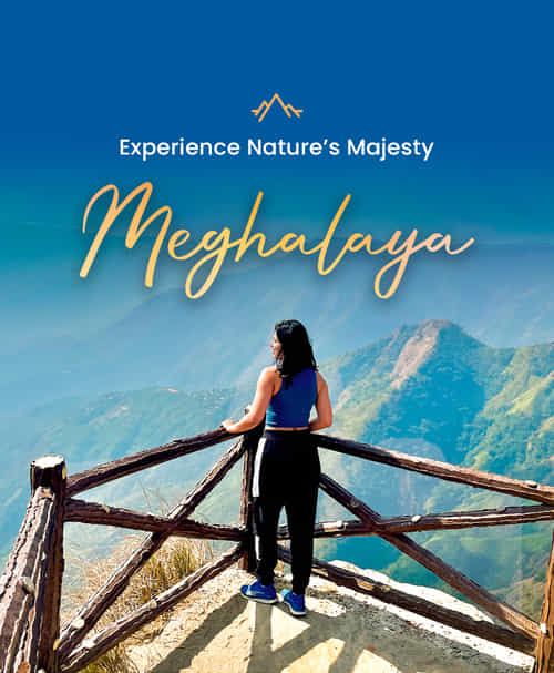 Meghalaya honeymoon packages