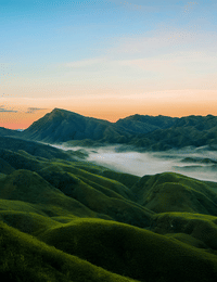 Nagaland