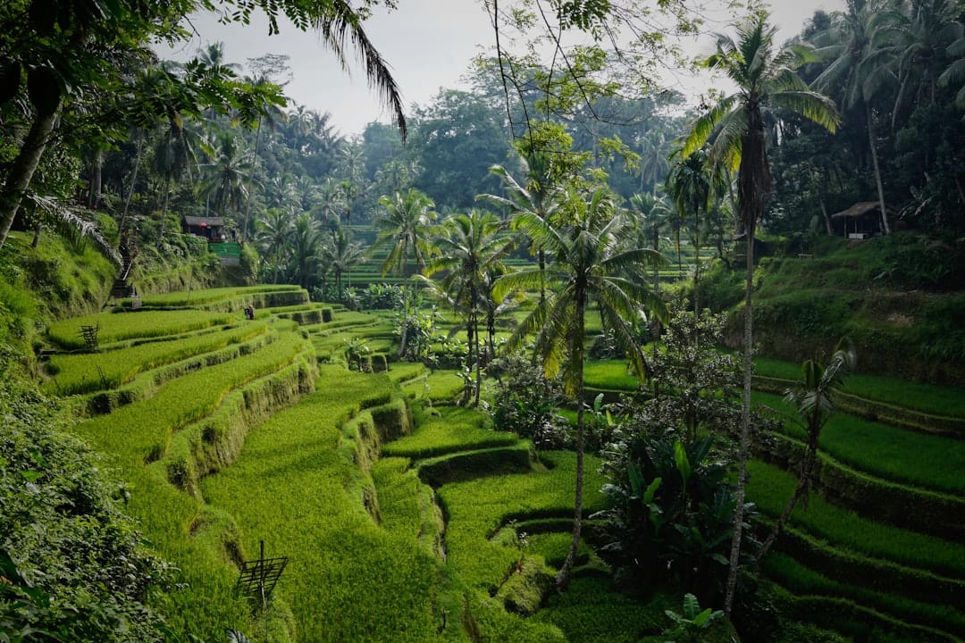 Photo by Niklas Weiss on Unsplash