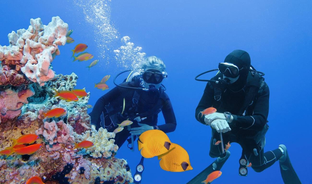 scuba diving in andaman and nicobar islands
