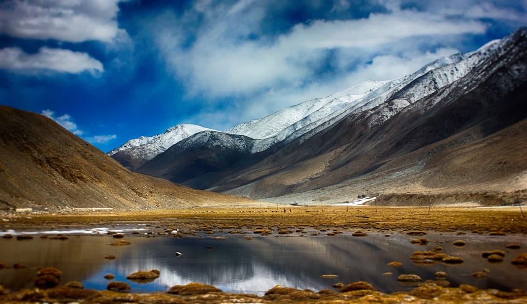 Photo by Anuj Bansal on Unsplash