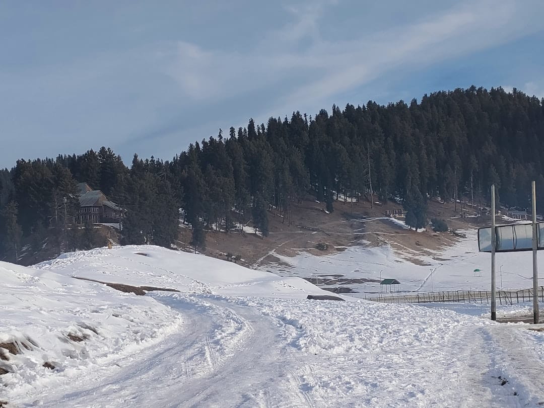 Photo by Aravinda Kashyap on Unsplash